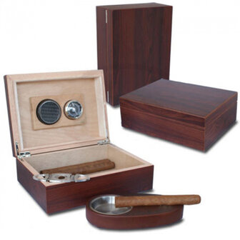 HUMIDOR - GIFTSET MAT WALNUT 240X180X82MM (Bookwill)